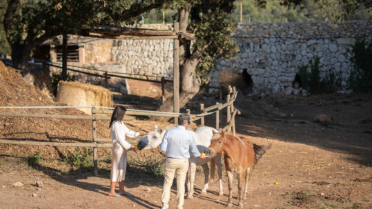 Mallorca and its beautiful Mediterranean landscapes will provide you with a peaceful refuge where you can reconnect with what is truly important to you.