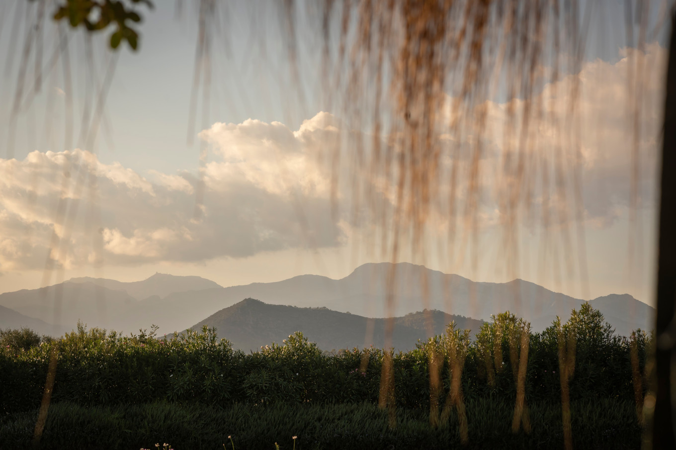 Scenic backdrop to help you restore your body and mind at our luxury retreat